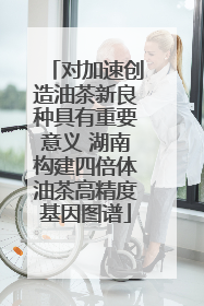 对加速创造油茶新良种具有重要意义 湖南构建四倍体油茶高精度基因图谱