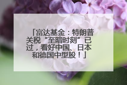 富达基金：特朗普关税“至暗时刻”已过，看好中国、日本和德国中型股！