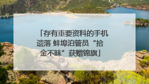 存有重要资料的手机遗落 蚌埠泊管员“拾金不昧”获赠锦旗