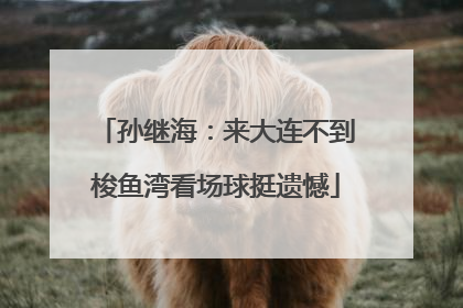 孙继海：来大连不到梭鱼湾看场球挺遗憾