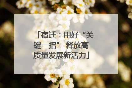 宿迁：用好“关键一招” 释放高质量发展新活力