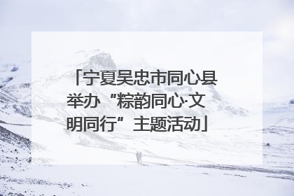 宁夏吴忠市同心县举办“粽韵同心·文明同行”主题活动