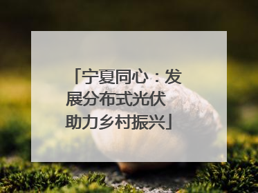 宁夏同心：发展分布式光伏 助力乡村振兴
