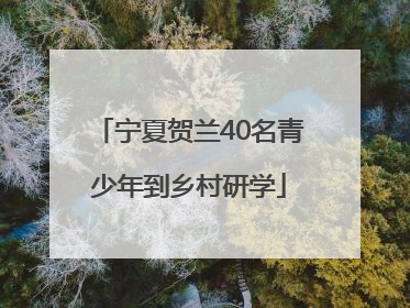 宁夏贺兰40名青少年到乡村研学