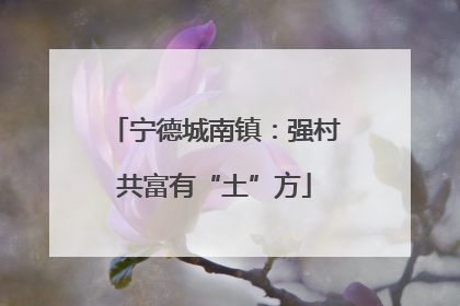 宁德城南镇：强村共富有“土”方