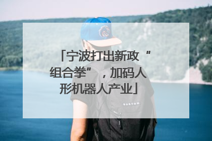 宁波打出新政“组合拳”，加码人形机器人产业