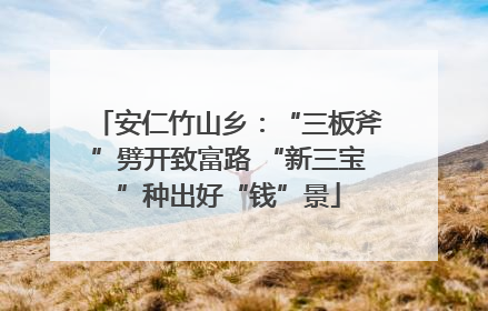 安仁竹山乡：“三板斧”劈开致富路 “新三宝”种出好“钱”景