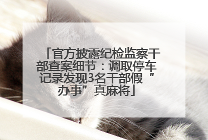 官方披露纪检监察干部查案细节：调取停车记录发现3名干部假“办事”真麻将