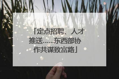 定点招聘、人才推送……东西部协作共谋致富路
