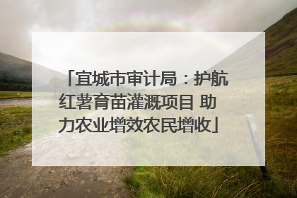 宜城市审计局：护航红薯育苗灌溉项目 助力农业增效农民增收