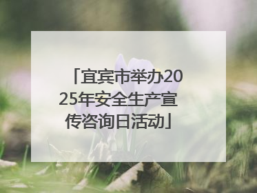 宜宾市举办2025年安全生产宣传咨询日活动
