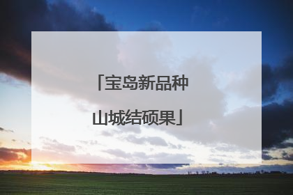宝岛新品种 山城结硕果
