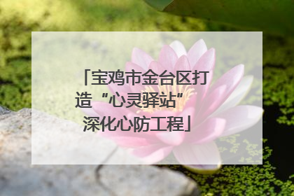 宝鸡市金台区打造“心灵驿站” 深化心防工程