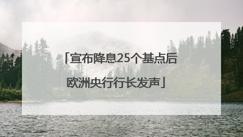 宣布降息25个基点后 欧洲央行行长发声
