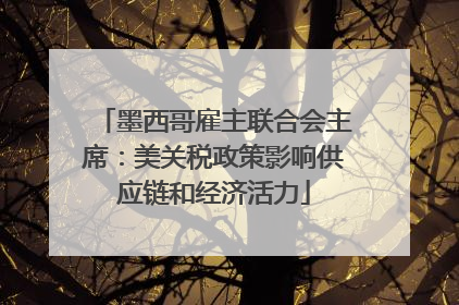 墨西哥雇主联合会主席：美关税政策影响供应链和经济活力