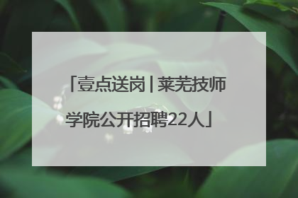 壹点送岗│莱芜技师学院公开招聘22人