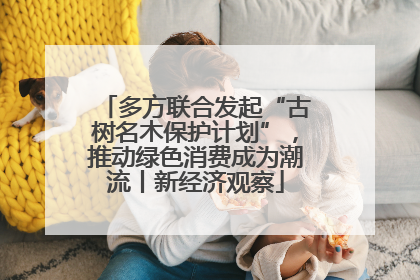 多方联合发起“古树名木保护计划”，推动绿色消费成为潮流丨新经济观察