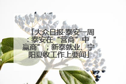 大众日报·泰安一周：泰安在“营商”中“赢商”；新泰就业、宁阳夏收工作上要闻