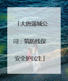 大唐蒲城公司：筑防线保安全护民生