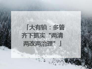 大有镇：多管齐下抓实“两清两改两治理”