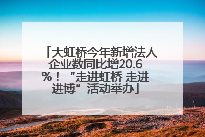 大虹桥今年新增法人企业数同比增20.6%！“走进虹桥 走进进博”活动举办