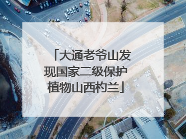 大通老爷山发现国家二级保护植物山西杓兰