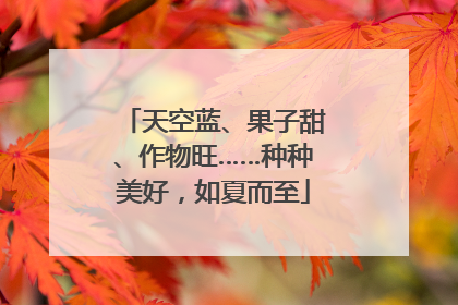 天空蓝、果子甜、作物旺……种种美好，如夏而至
