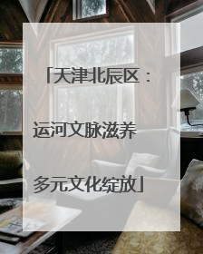 天津北辰区：运河文脉滋养 多元文化绽放