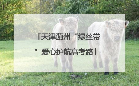 天津蓟州“绿丝带”爱心护航高考路