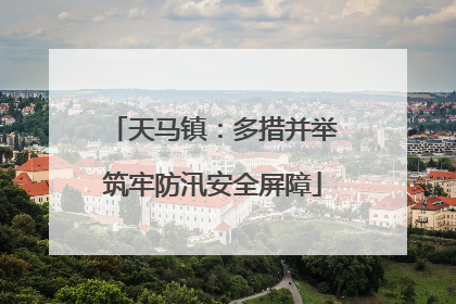 天马镇：多措并举筑牢防汛安全屏障