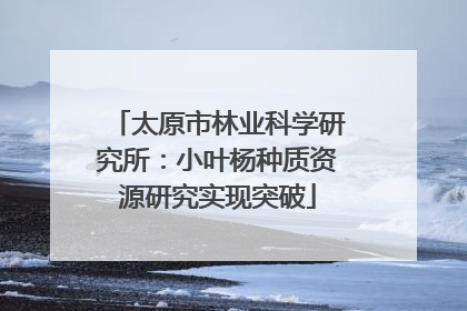 太原市林业科学研究所：小叶杨种质资源研究实现突破
