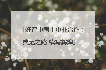 好评中国丨中非合作：典范之路 续写辉煌