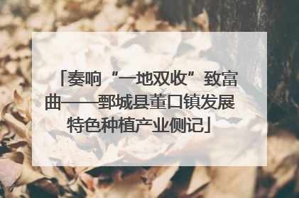 奏响“一地双收”致富曲——鄄城县董口镇发展特色种植产业侧记