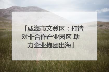 威海市文登区：打造对非合作产业园区 助力企业抱团出海