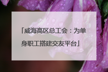威海高区总工会：为单身职工搭建交友平台