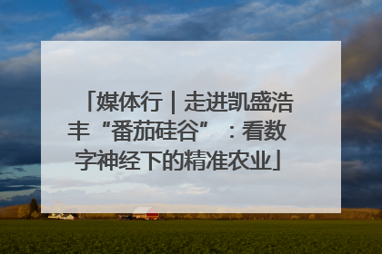 媒体行｜走进凯盛浩丰“番茄硅谷”：看数字神经下的精准农业