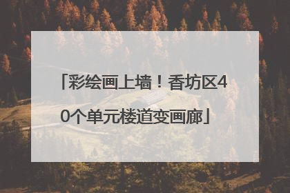 彩绘画上墙！香坊区40个单元楼道变画廊