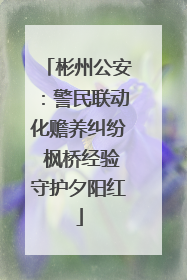 彬州公安：警民联动化赡养纠纷 枫桥经验守护夕阳红