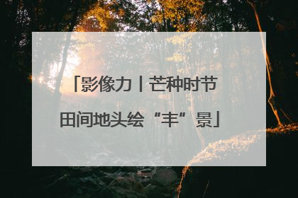 影像力丨芒种时节 田间地头绘“丰”景