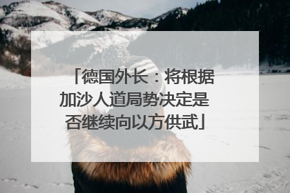德国外长：将根据加沙人道局势决定是否继续向以方供武