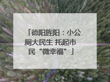 德阳旌阳：小公厕大民生 托起市民“微幸福”