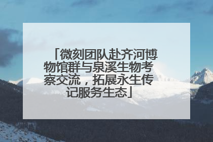 微刻团队赴齐河博物馆群与泉溪生物考察交流，拓展永生传记服务生态