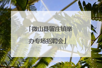 微山县留庄镇举办专场招聘会