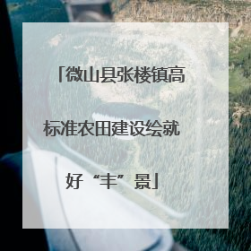 微山县张楼镇高标准农田建设绘就好“丰”景
