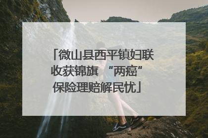 微山县西平镇妇联收获锦旗 “两癌”保险理赔解民忧