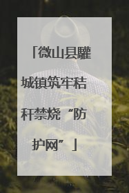 微山县驩城镇筑牢秸秆禁烧“防护网”