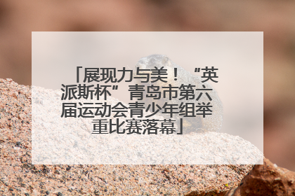 展现力与美！“英派斯杯”青岛市第六届运动会青少年组举重比赛落幕