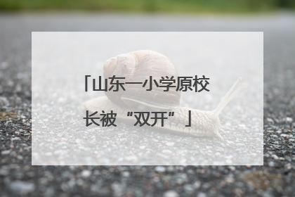山东一小学原校长被“双开”
