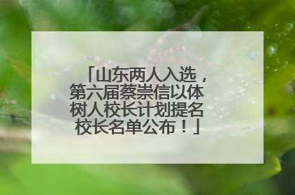 山东两人入选，第六届蔡崇信以体树人校长计划提名校长名单公布！