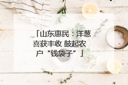 山东惠民：洋葱喜获丰收 鼓起农户“钱袋子”